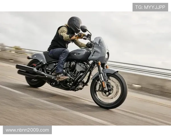 10 款复古哈雷戴维森摩托车，惊艳车型