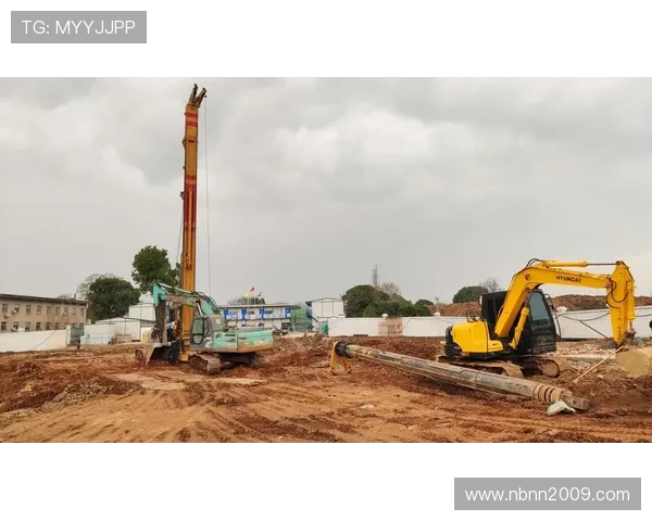 107台福田欧曼自动挡牵引车交付坦桑尼亚